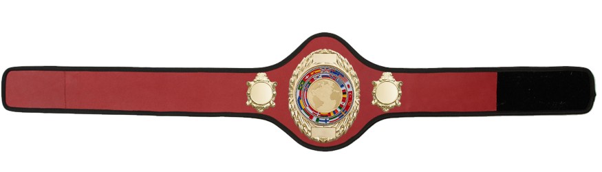 CHAMPIONSHIP BELT PRO286/G/WLDFLAGG - AVAILABLE IN 10+ COLOURS